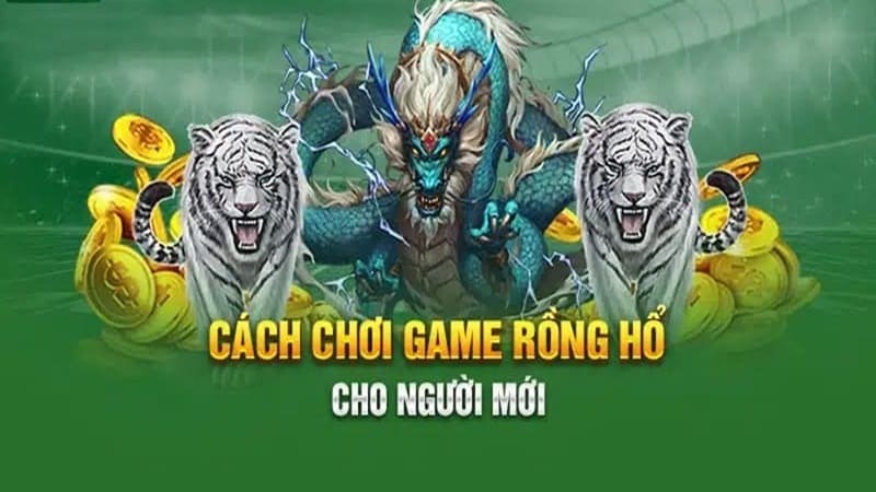 Cách chơi Rồng Hổ cơ bản cần nắm bắt